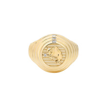 Load image into Gallery viewer, Zodiac Ring