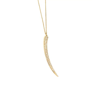 Horn Charm Necklace