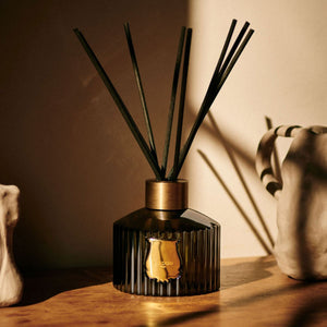Le Diffuseur Spiritus Sancti