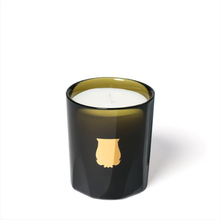 Load image into Gallery viewer, Trudon Green Votive