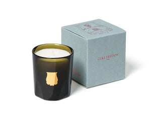 Trudon Green Votive with Box